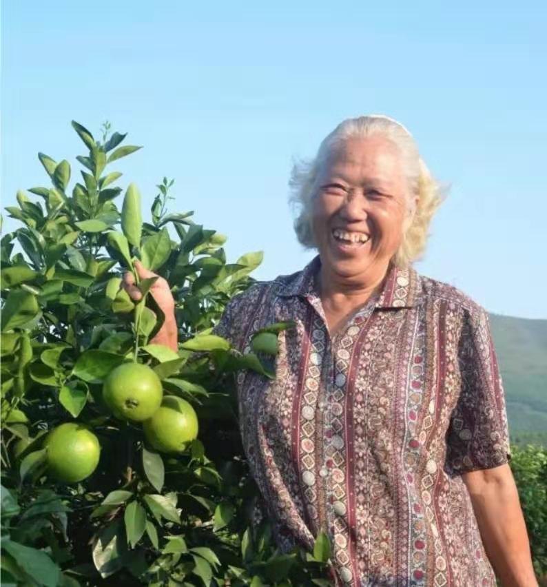 76岁仍在专研自然农法 要种出世界特别好吃的橙子
